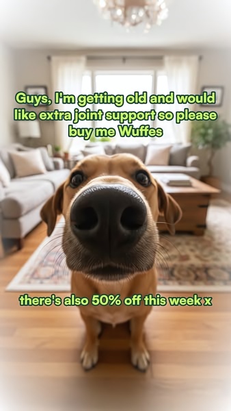 This creative uses a direct, first-person perspective from the dog to humanize the need for joint support, effectively pairing the product benefit with an immediate, time-sensitive promotion.
